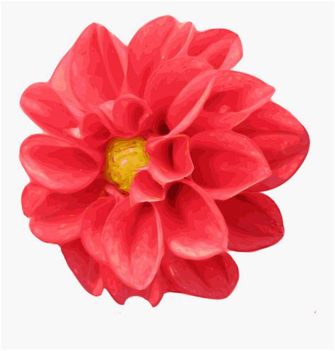 flower clipart realistic